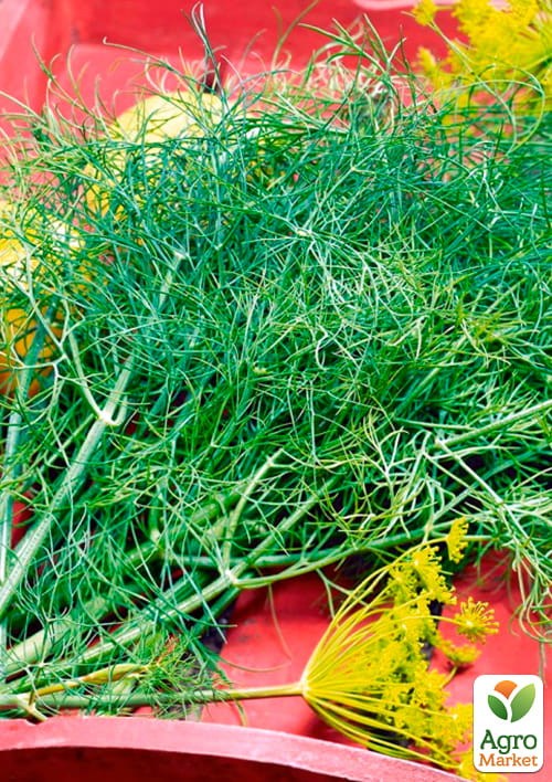 Укроп "Деликатесный" (Зипер) ТМ "Весна" 7г