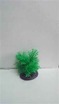 Рослини штучні Пластикове рослина 071072 6х6 (1072070)