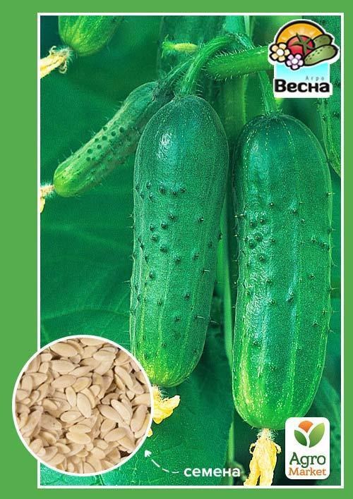Огурец "Мал да удал F1" (Новый пакет) ТМ "Весна" 0.25г