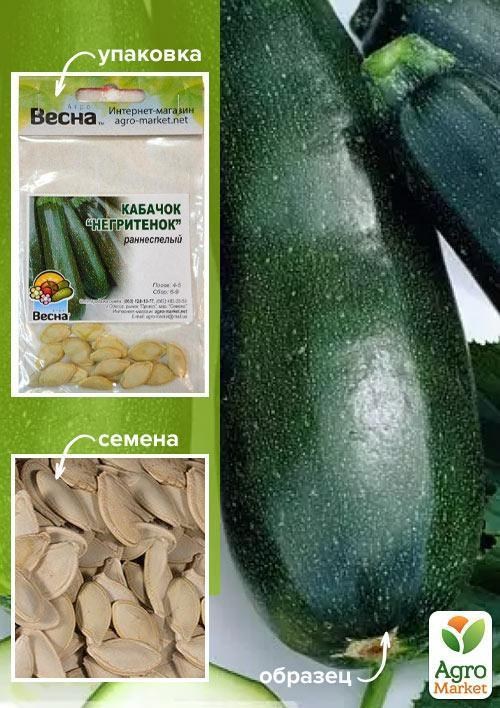 Кабачок "Негритенок" (Зипер) ТМ "Весна" 4г