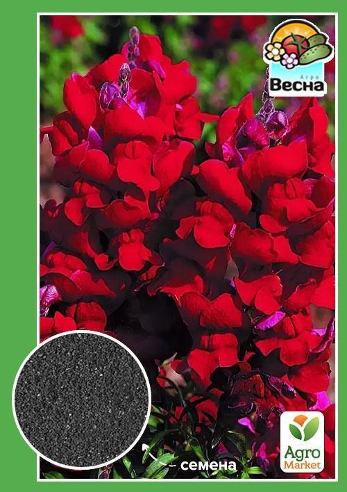 Львиный зев красный ТМ "Весна" 0.1г