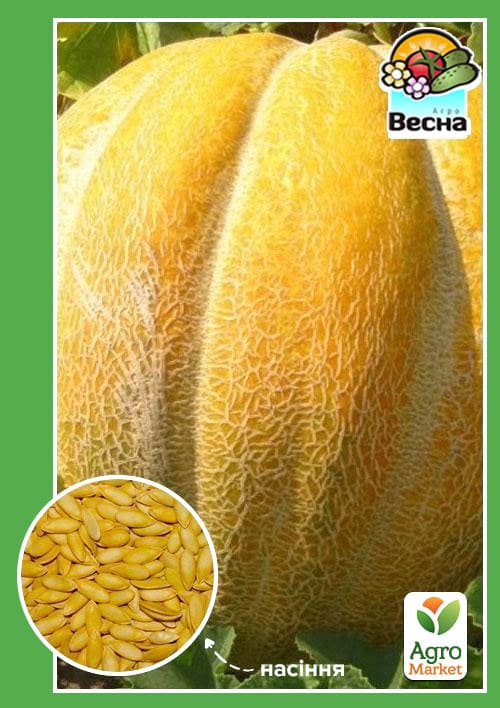 Дыня "Эфиопка" ТМ "Весна"  1,5г