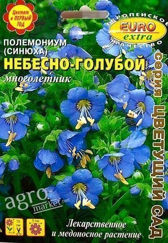 Полемоніум (синюха) "Небесно-блакитний" ТМ "Аеліта" 0.1г