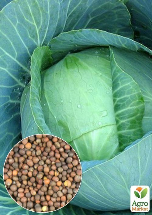 На развес Капуста "Харьковская зимняя" ТМ "Весна" цена за 6г