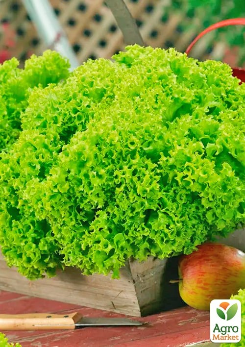 Салат "Орфей" (Зипер) ТМ "Весна" 3г - фото 2