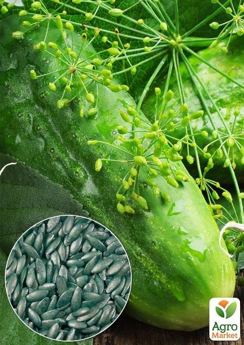 На вагу Огірок "Полонез F1" ТМ "Весна" ціна за 1г