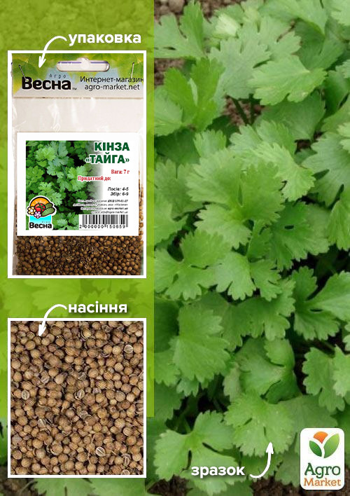 Кинза "Тайга" (Зипер) ТМ "Весна" 7г