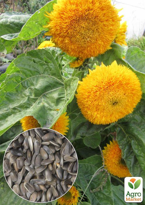 На вагу Соняшник "Ведмедик" ТМ "Весна" ціна за 3г