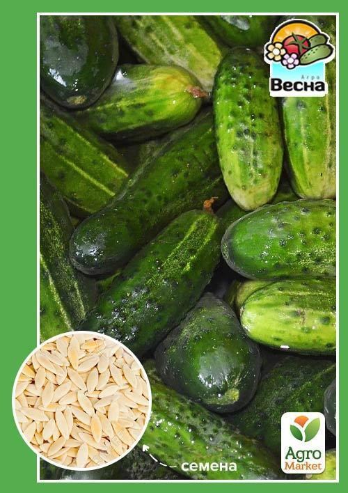 Огурец "Мечта дачника F1"(Новый пакет)  ТМ "Весна" 0.25г