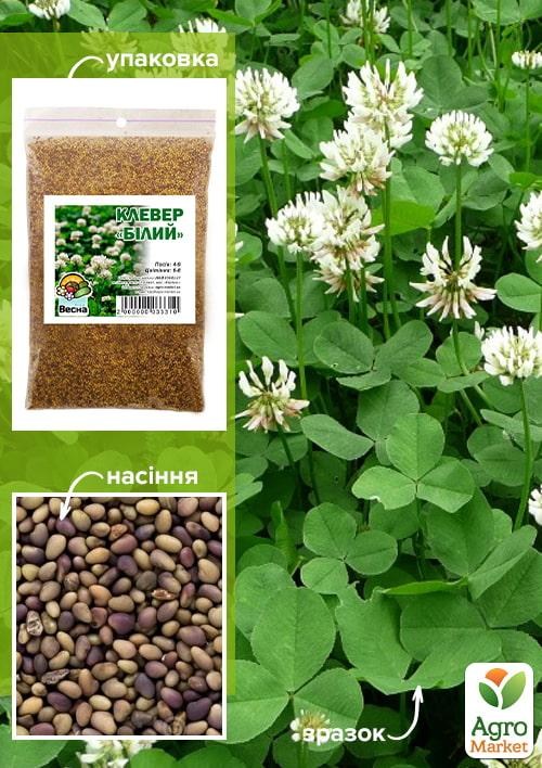 Конюшина "Біла" ТМ "Весна" 100г