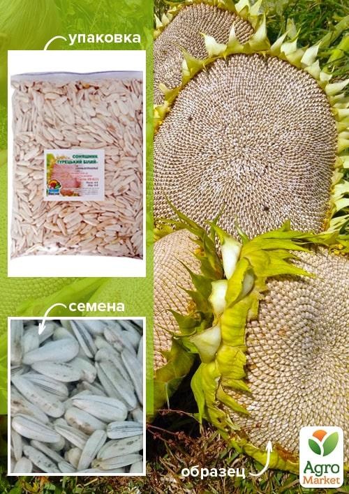 Подсолнечник "Турецкий белый" ТМ "Весна" 500г