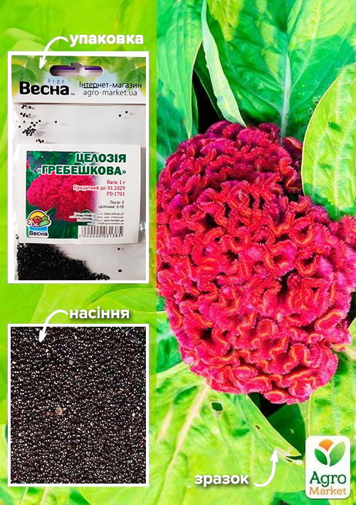 Целозія "Гребешкова" (Зипер) ТМ "Весна" 1г