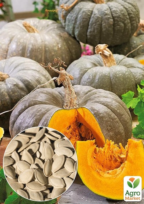 Тыква "Серый чемпион" (в банке) ТМ "Весна Органик" 20г