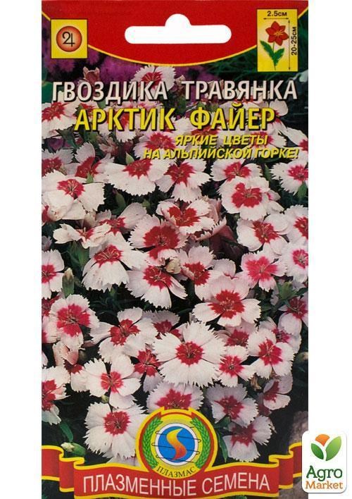 Гвоздика травянка "Арктик файр" ТМ "Плазмові насіння" 0,2г