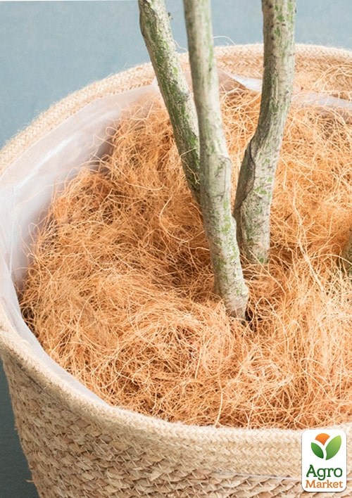 Кокосове волокно для рослин 1 л  - фото 3