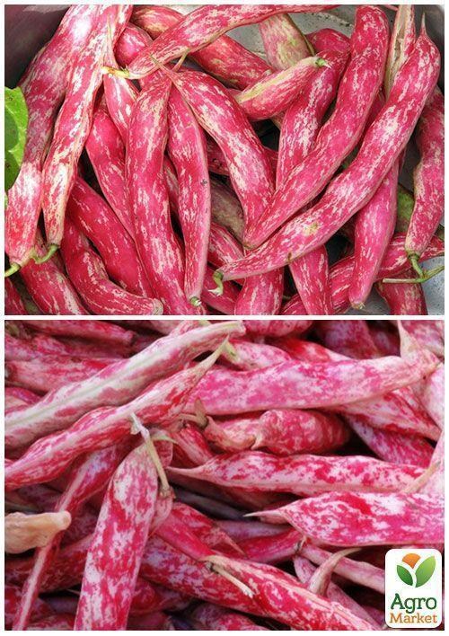 На развес Фасоль "Ласточка" ТМ "Весна" цена за 15г - фото 3