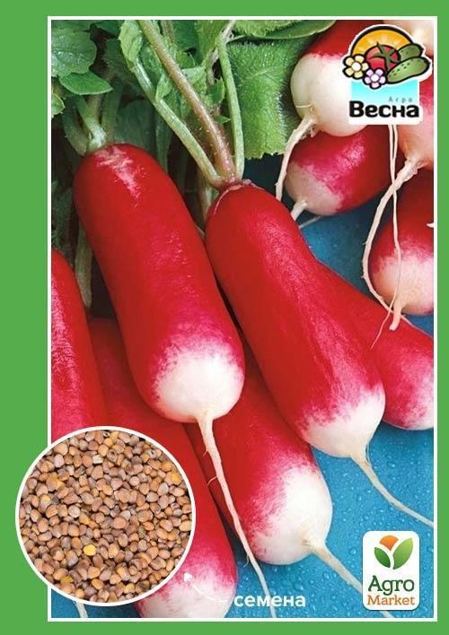Редис "Киви" (Новый пакет) ТМ "Весна" 2г