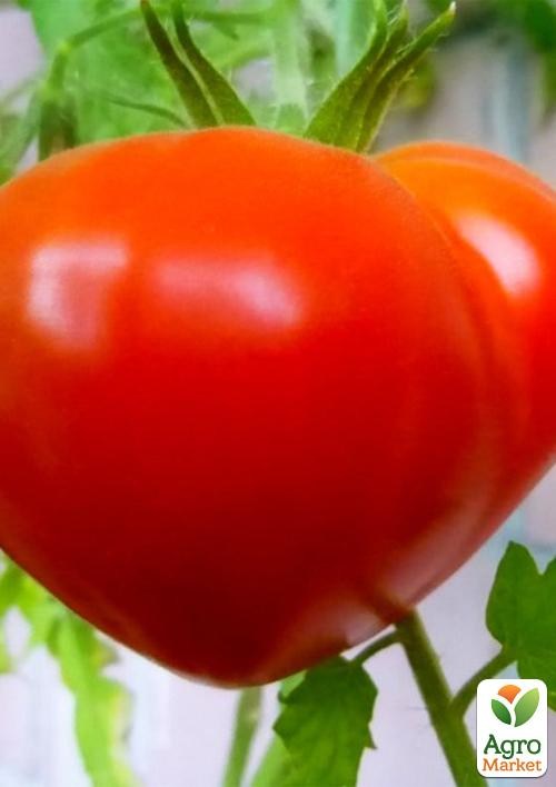 Томат "Земфіра" ТМ "Vesna Select" 0.2г