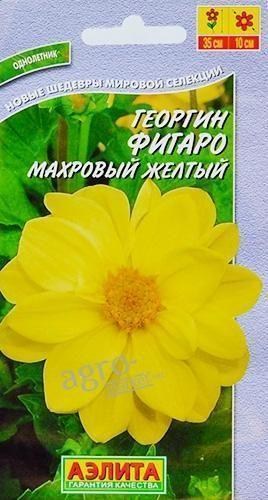Георгина  махровая "Фигаро желтый" ТМ "АЭЛИТА" 7шт
