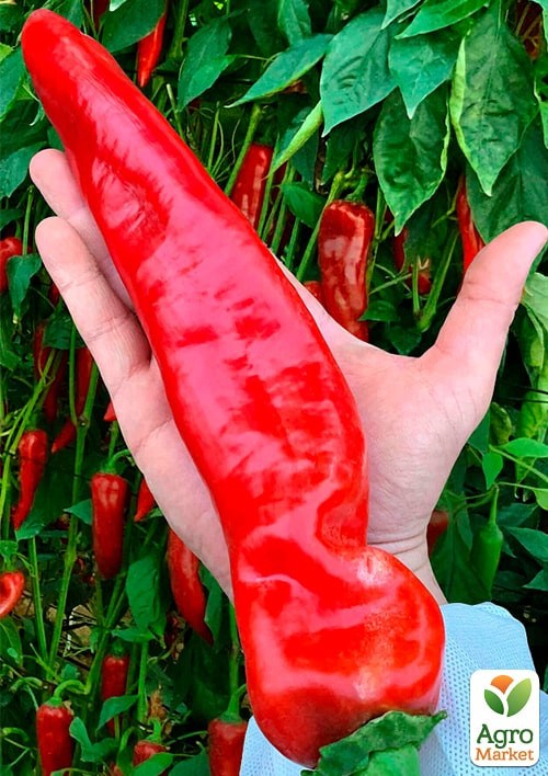 Перец острый "Ацтек" (Зипер) ТМ "Весна" 1г - фото 2