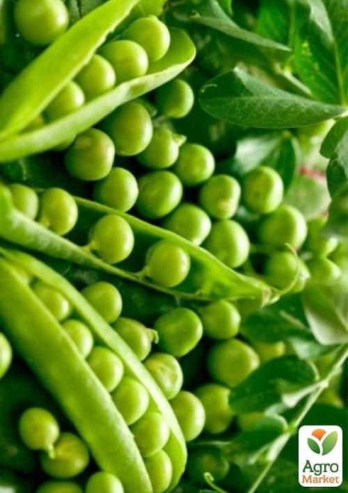 Горох овощной "Продиджи" ТМ "Lark Seeds" 100000шт