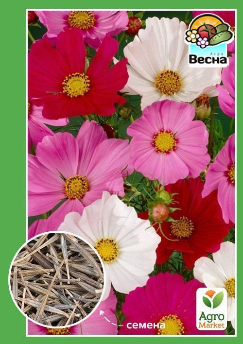 Космея "Дваждыперистая" ТМ "Весна" 0.3г