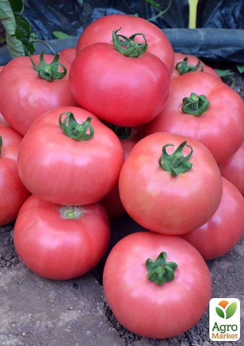 Томат "Рожеві щічки" ТМ "Vesna Select" 0,2г