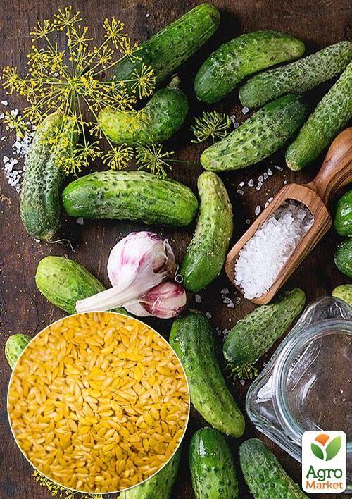 На вагу Огірок "Кайтек F1" ТМ "Весна" ціна за 3г