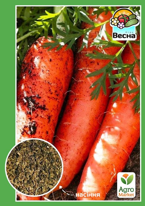Морква "Артек" ТМ "Весна" 2г