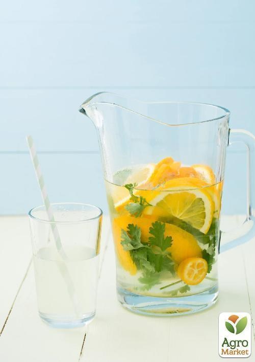 Апельсин "Вашингтон Навела" ДУБЛИКАТ - фото 2