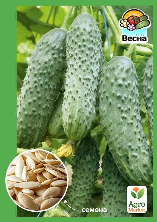 Огурец "Атаман" (Новый пакет) ТМ "Весна" 0.2г