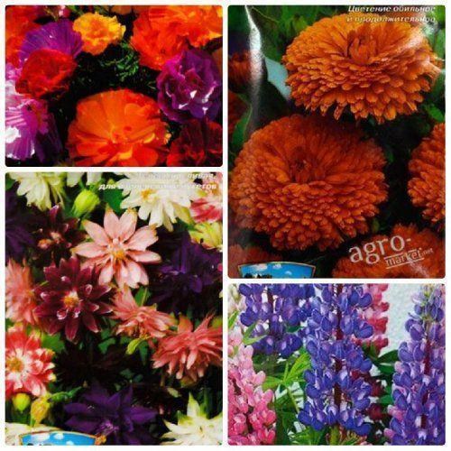 Комплект семян цветов "Радуга" 5уп 