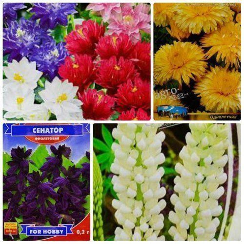 Комплект семян цветов "Цветущий сад" 5уп 