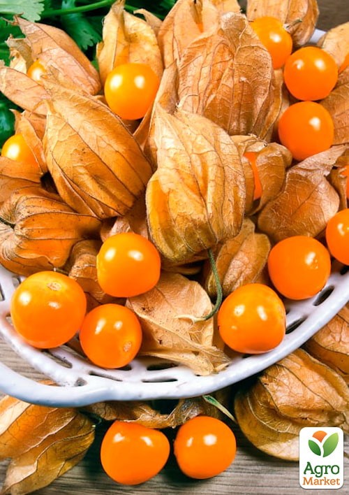 Фізаліс "Дачний" ТМ "Vesna Select" 0,3г