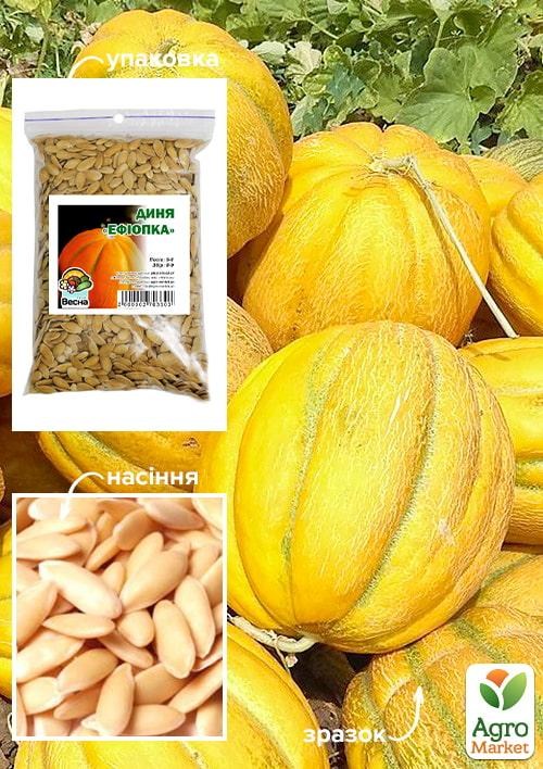 Диня "Ефіопка" ТМ "Весна" 100г