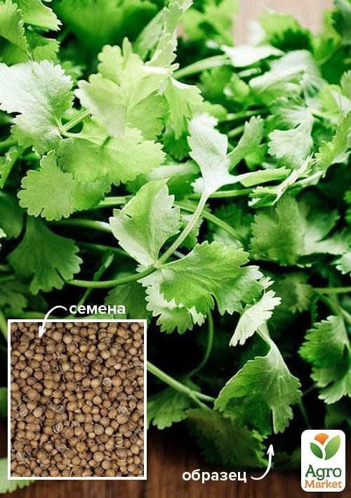 Кориандр "Армянский стимул" ТМ "Весна" 500г