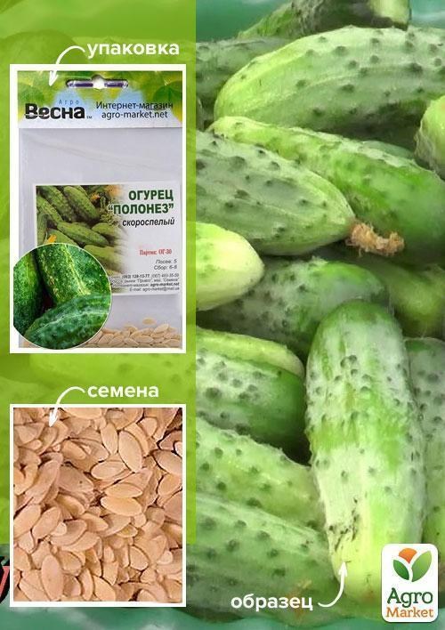 Огірок "Полонез" (Зипер) ТМ "Весна" 1.5г