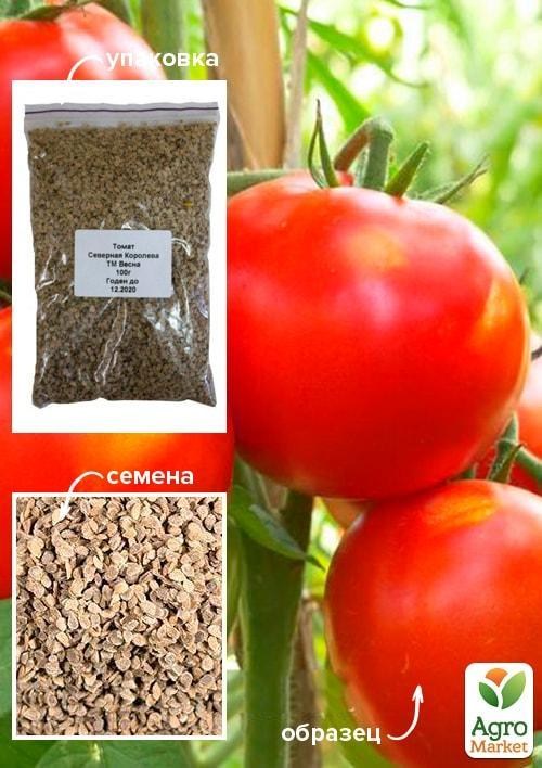 Томат "Северная Королева" ТМ "Весна" 100г