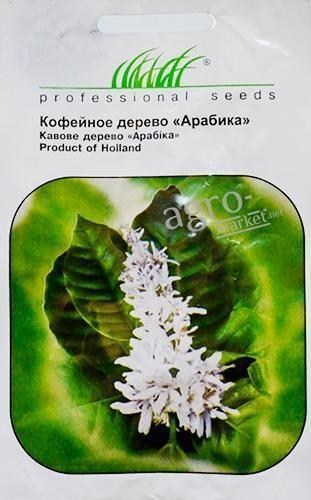 Кавове дерево "Арабіка" ТМ "HEM Zaden" 1г