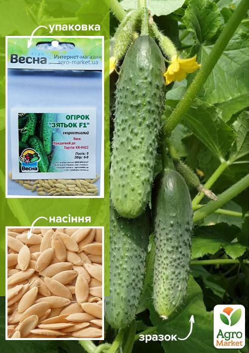 Огірок "Зятьок F1" (Зипер) ТМ "Весна" 0.5г