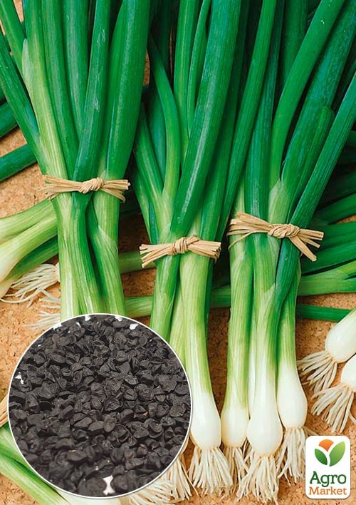 На развес Лук-батун "Пиканте" ТМ "Весна" цена за 3г