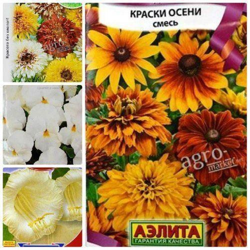 Комплект семян цветов "Солнечный сад" 5уп