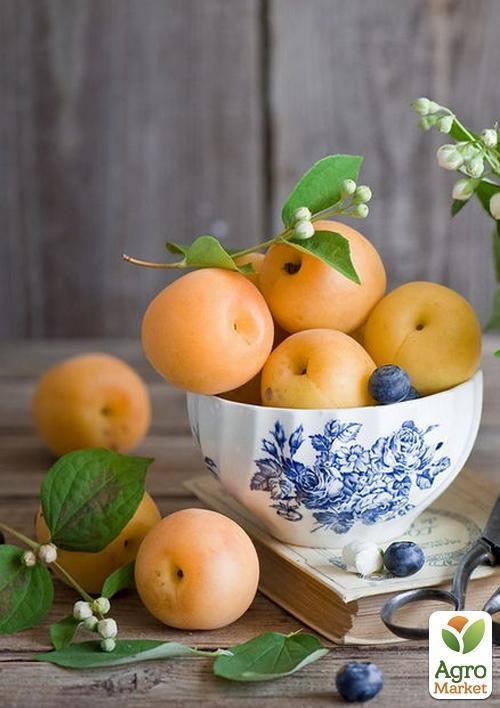 Абрикос "Ботсадовській"