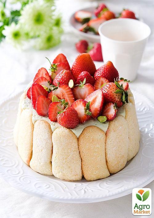 Клубника "Шарлота" (ремонтантный сорт)  - фото 8