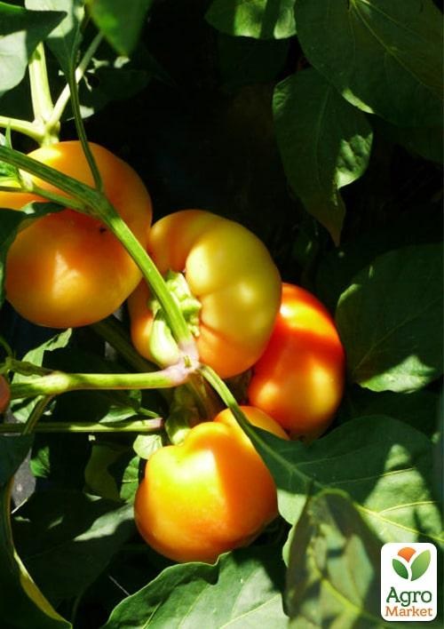 Перец "Мела Роса F1" ТМ "Lark Seeds" 500шт