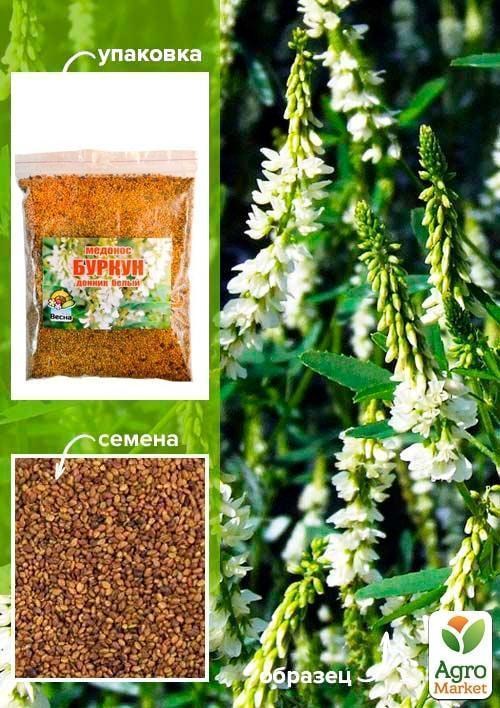 Медонос "Буркун" буркун білий ТМ "Весна" 100г - фото 2