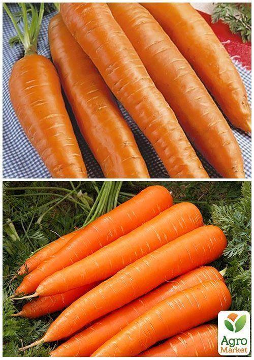 На развес Морковь "Королева осени" ТМ "Весна" цена за 10г - фото 2
