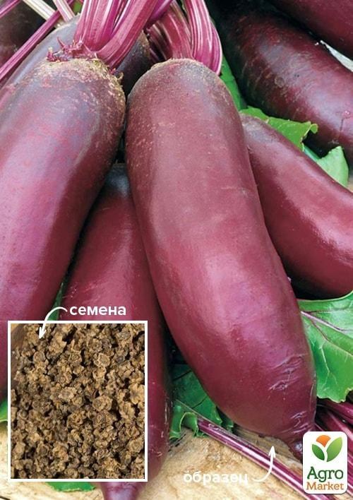 Свекла "Козак" ТМ "Весна" 100г