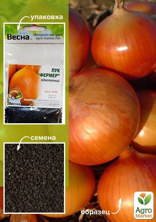 Цибуля "Фермер" (Зипер) ТМ "Весна" 3г