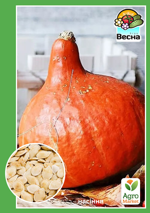 Тыква "Кэнди Свит" (Большой пакет) ТМ "Весна" 5г